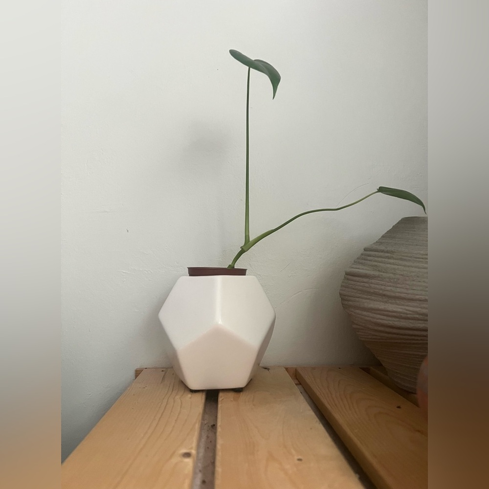 Modern Faceted Vase Planter Off White Ceramic Pottery Pen Holder Office Desk